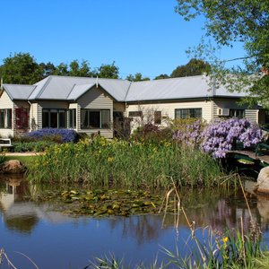 Garden ponds
