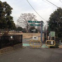 狭いけど人も少ないので、家族連れに向いている