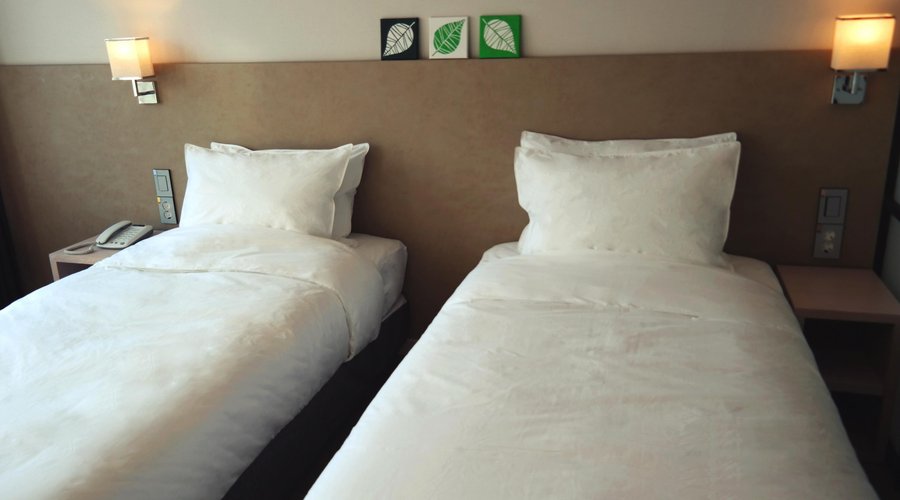 Deluxe twin room