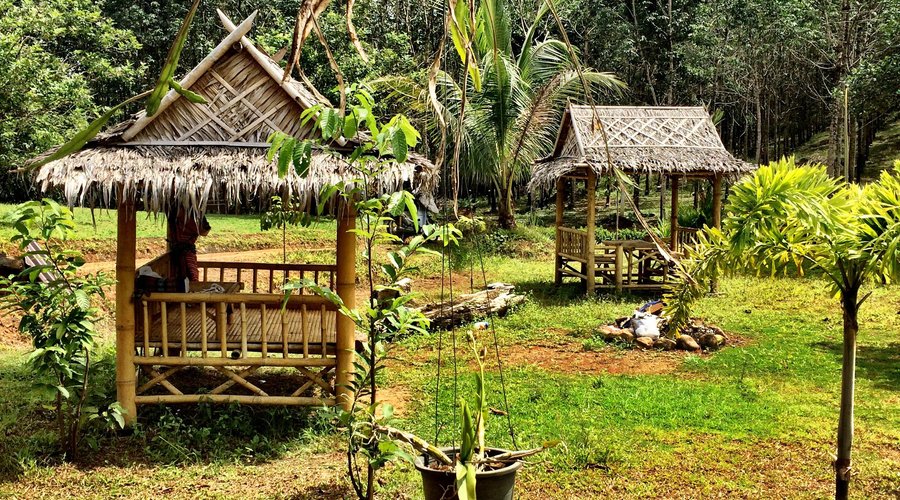 Relax and chill in the garden with wonderful view