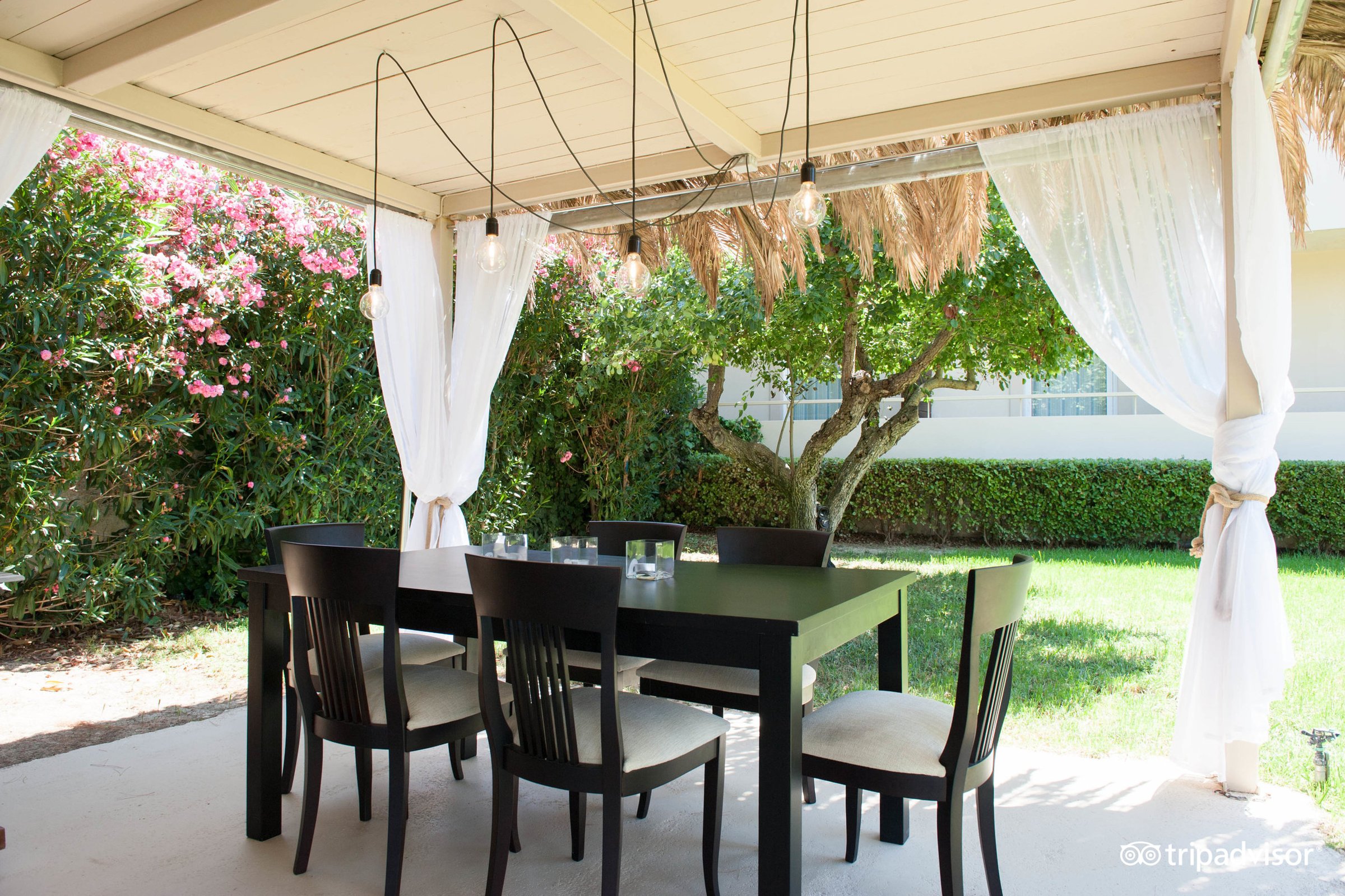 agrilia hotel laganas zante