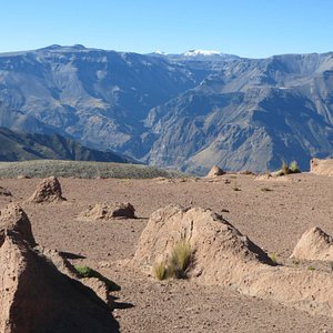 Misti Volcano Trekking 2 Days - Giardino Tours - Tour Operator and Travel  Agency in Perú