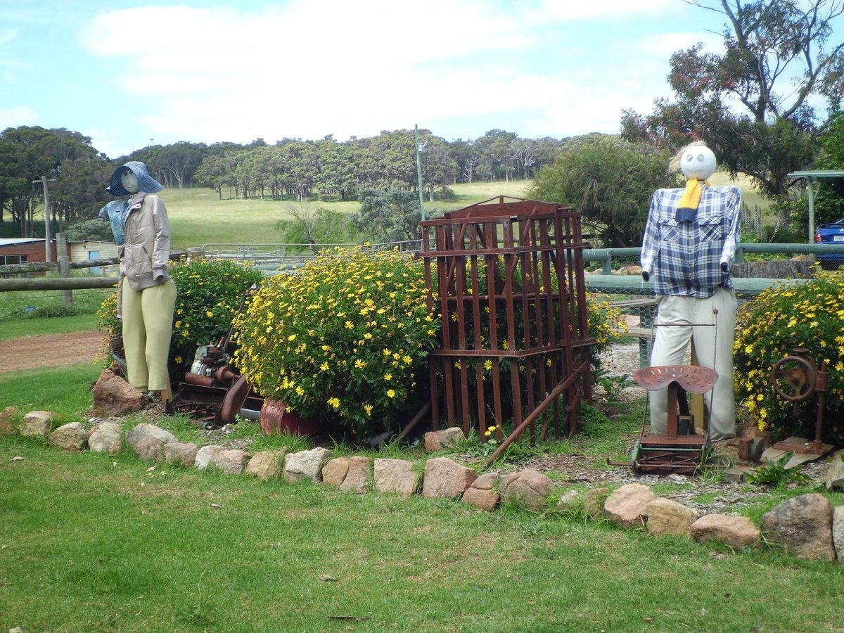 SUNFLOWERS ANIMAL FARM (Margaret River) - All You Need to Know BEFORE You Go SUNFLOWERS ANIMAL FARM (Margaret River) - All You Need to Know BEFORE You Go