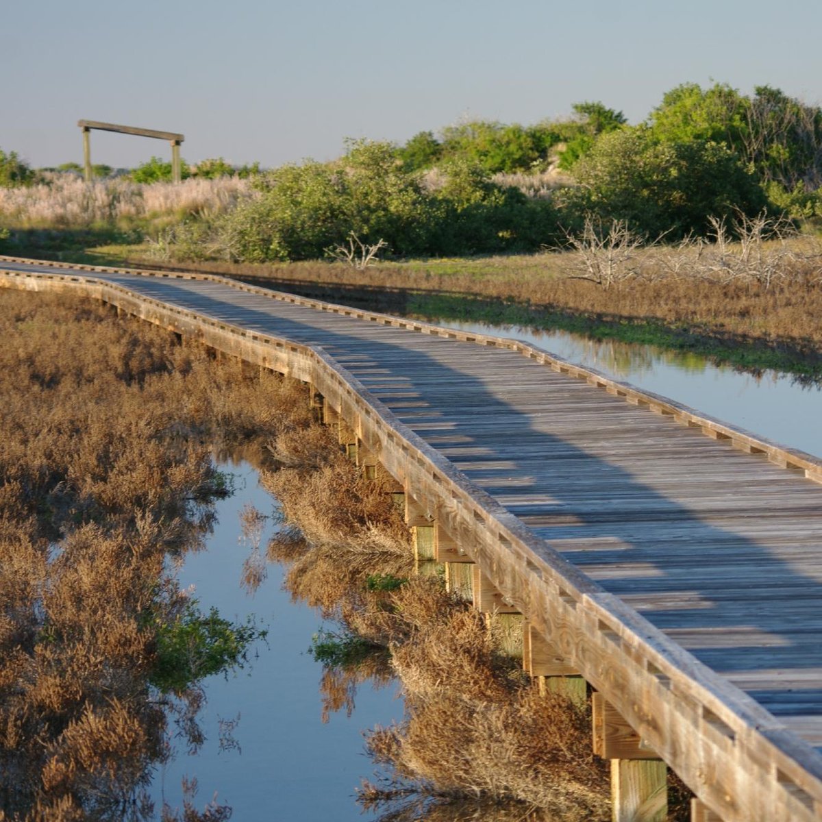 Port Aransas Nature Preserve at Charlie's Pasture - All You Need to ...