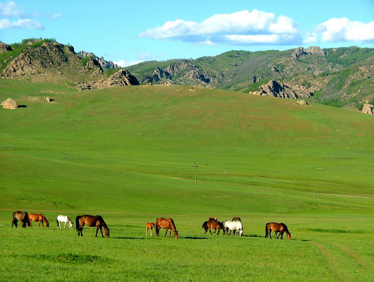juulchin tours mongolia