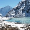What to do and see in Sagarmatha Zone, Eastern Region: The Best Multi-day Tours