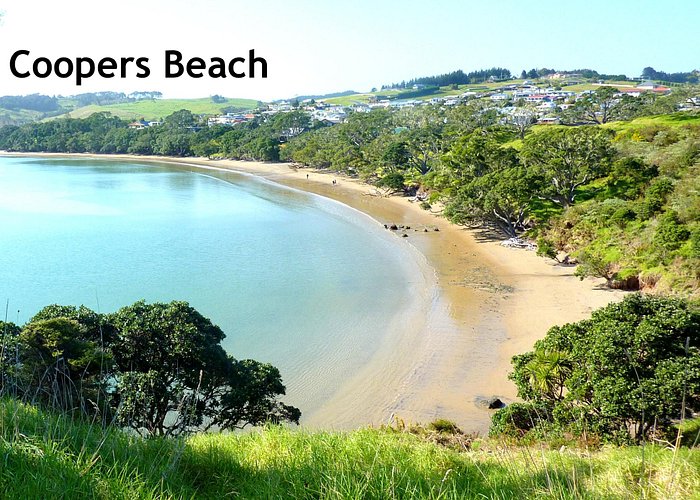 Coopers Beach