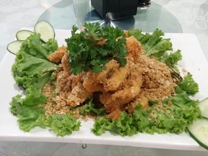 Cibo