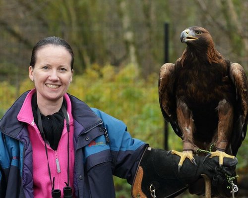 Loch Lomond Bird of Prey Centre - Loch Lomond