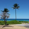 Things To Do in Hapuna Beach State Recreation Area, Restaurants in Hapuna Beach State Recreation Area