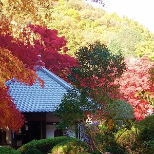 21年 池田市で絶対外さないおすすめ観光スポットトップ10 定番から穴場まで トリップアドバイザー 21年 池田市で絶対外さないおすすめ観光スポットトップ10 定番から穴場まで トリップアドバイザー