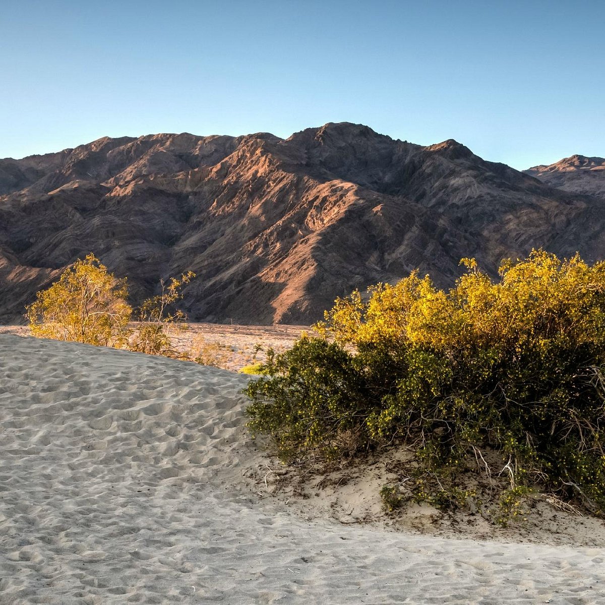 Grapevine Mountains