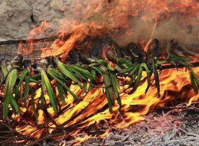 Calçotadas