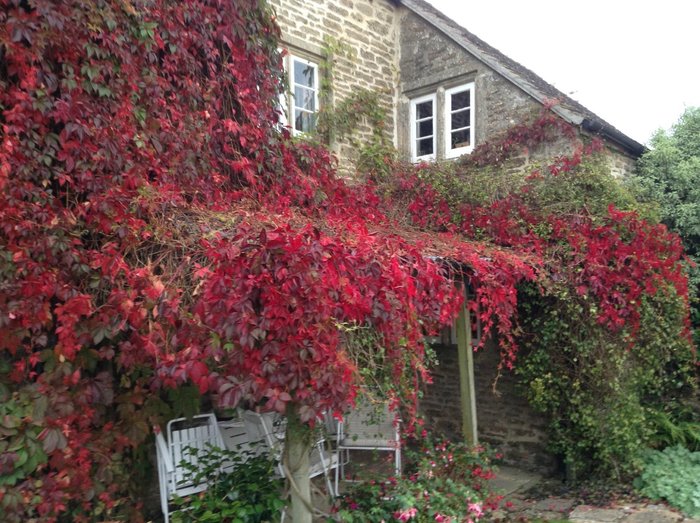 Broadgrove House - B&B Reviews (Frome, England)