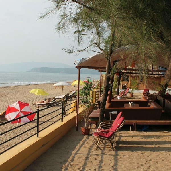 2025년 Cola 베스트 산장 추천 - Tripadvisor