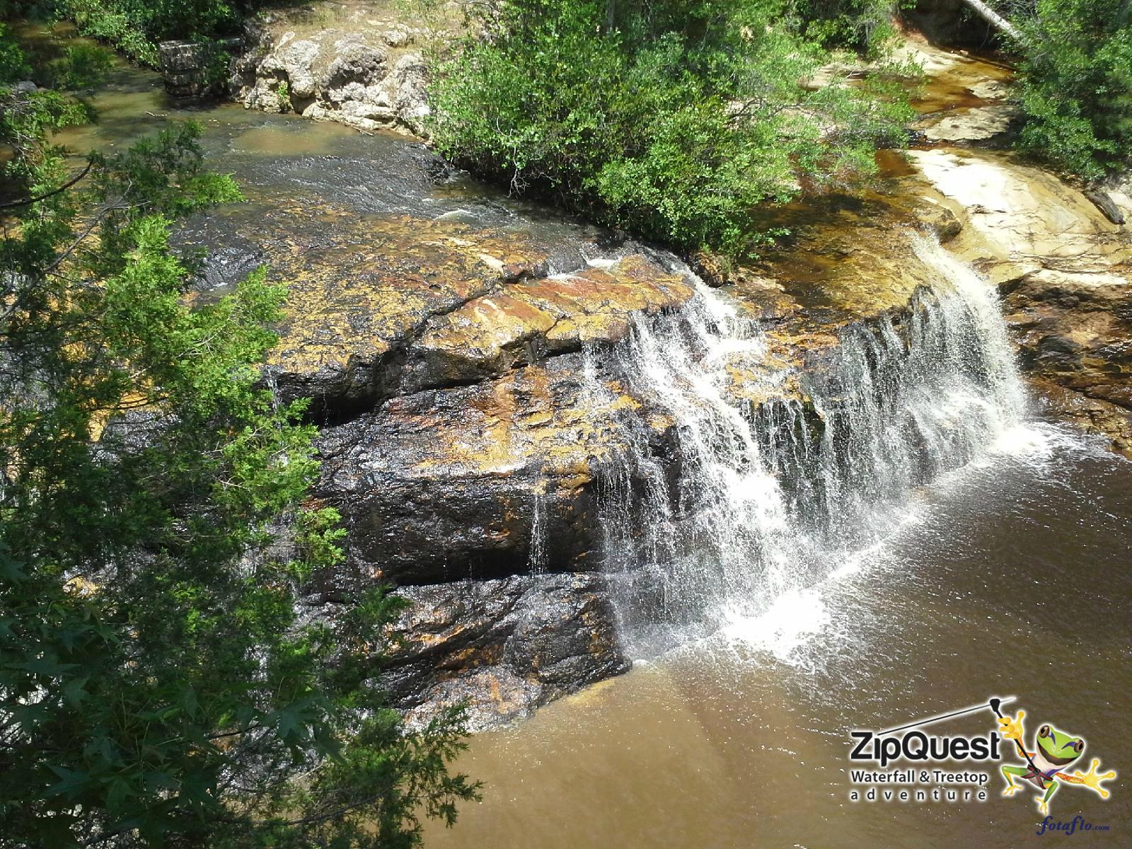 Aerial trekker pauses crossing the net bridge. - Picture of Canopy  Challenge Course at Fall Creek Falls State Park - Tripadvisor