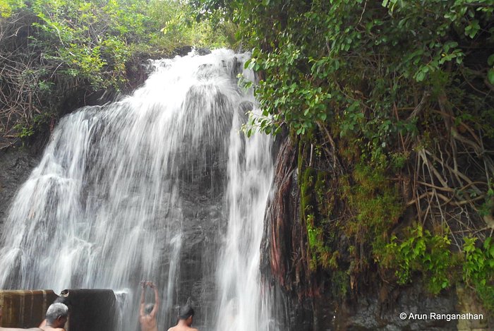 Agasthiyar Falls