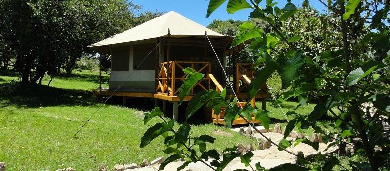 Ol-moran Tented Camp Bar Or Lounge: Pictures & Reviews - Tripadvisor