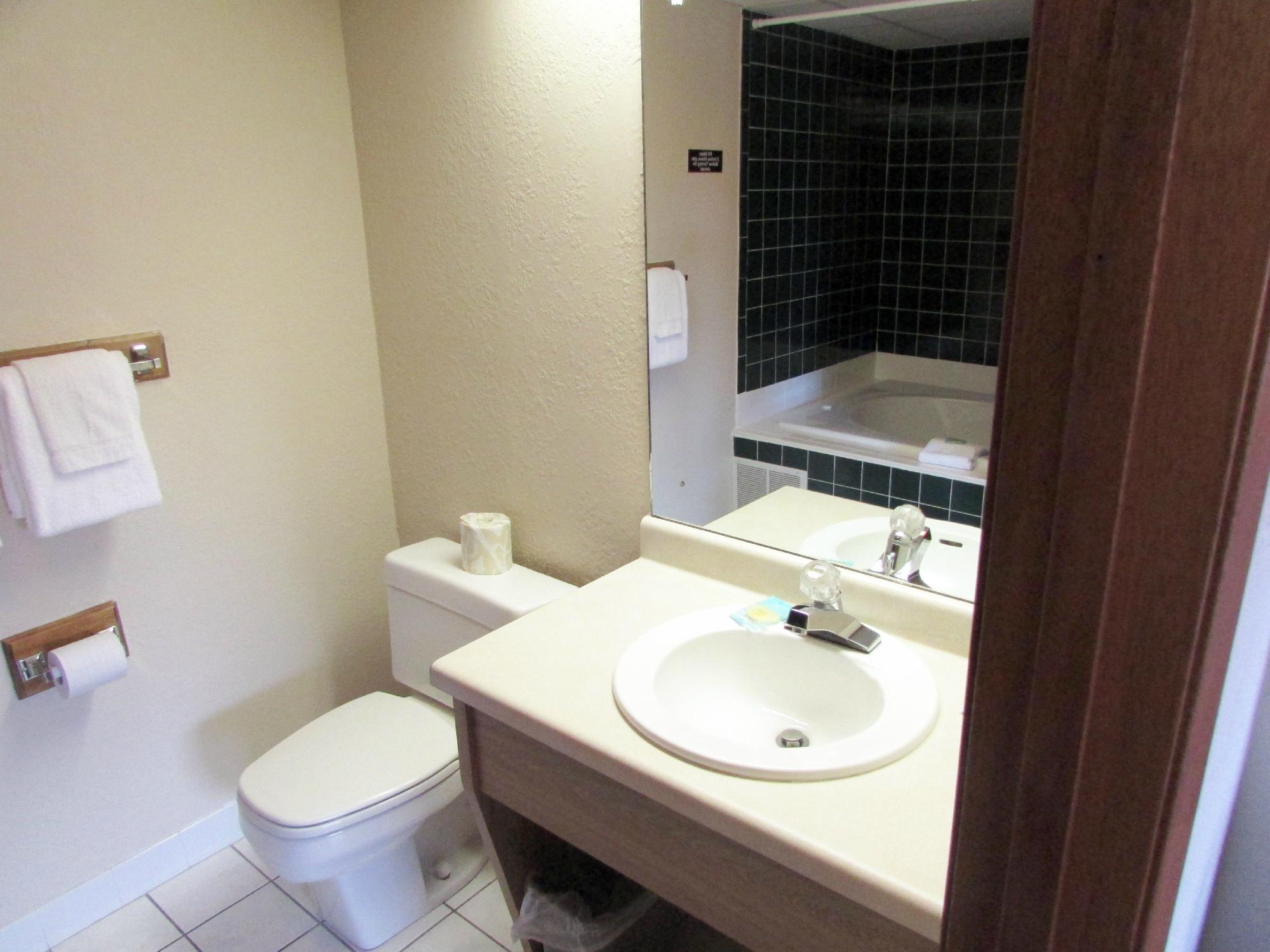 Hotel photo 16 of Arbors at Island Landing Hotel & Suites.
