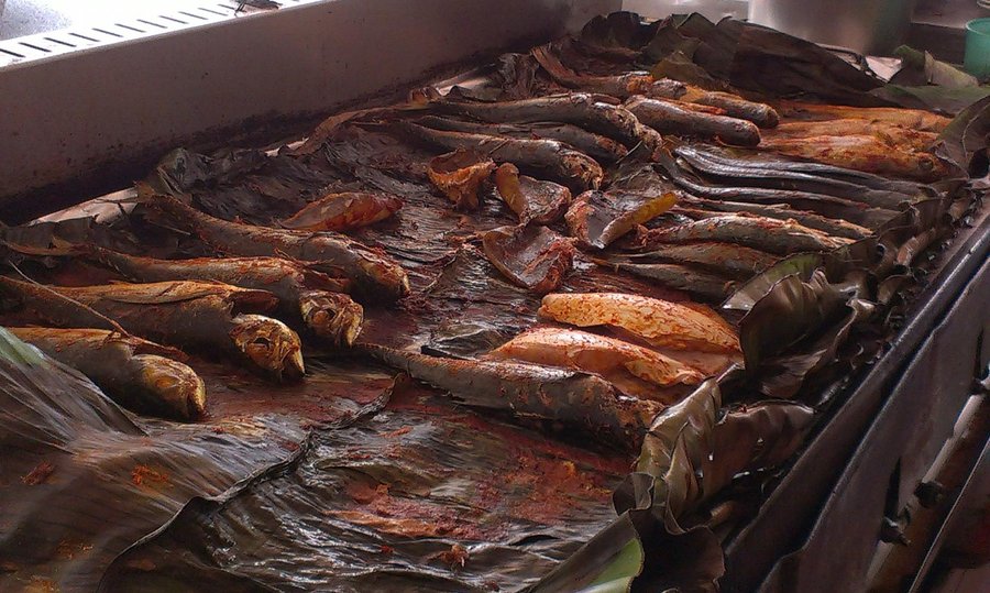 grilled fish