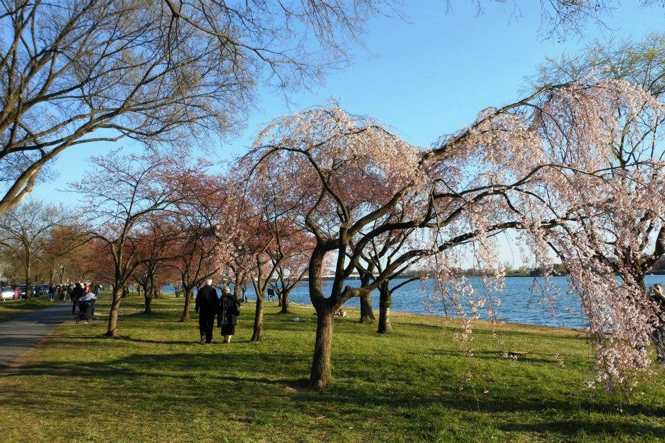 THE 15 BEST Things To Do In Washington DC 2024   Potomac Park 