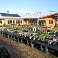 Sturmer Nurseries