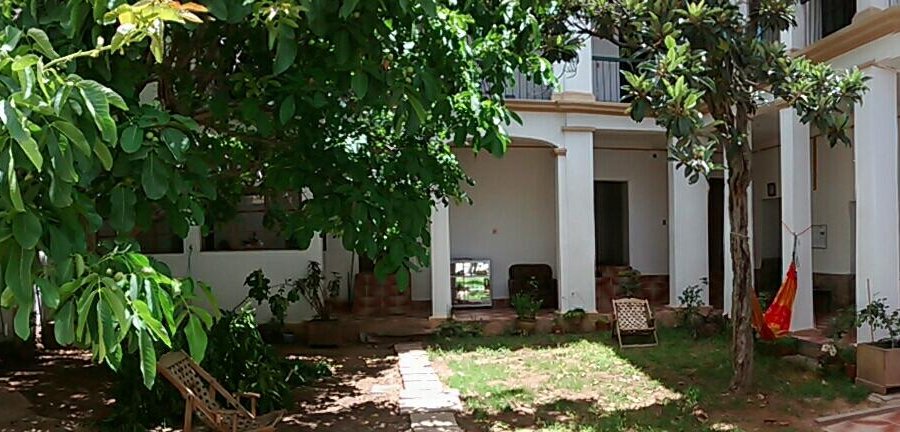 The Beehive Hostel Garden
