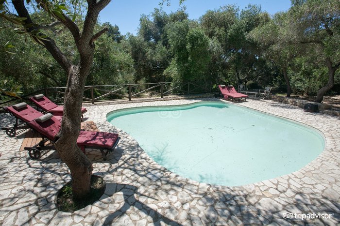 Antica Masseria Rottacapozza Pool: Pictures & Reviews - Tripadvisor