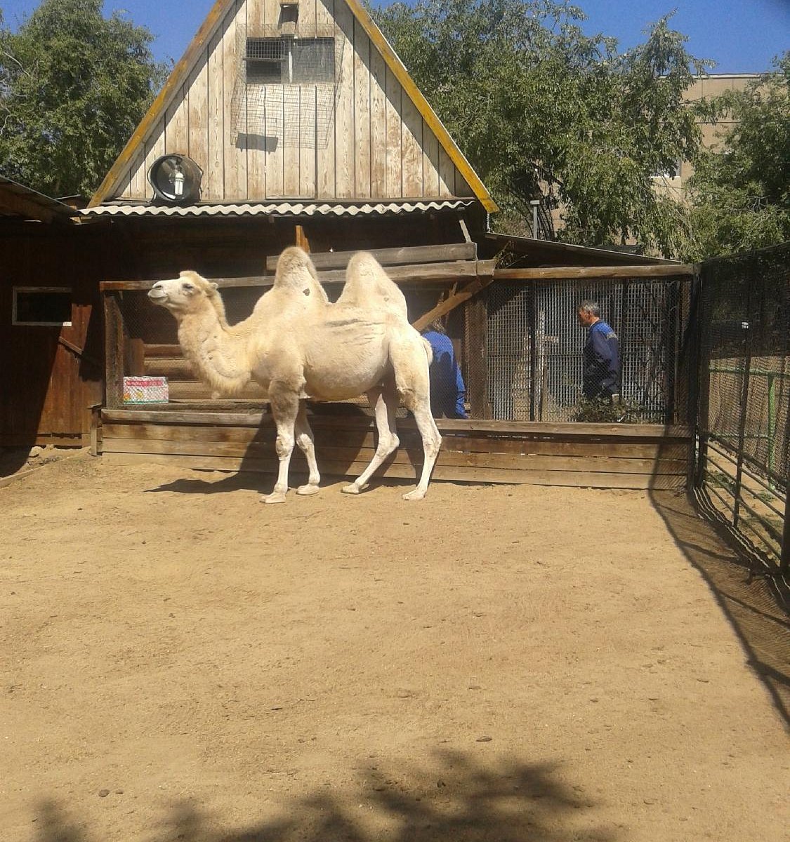 Chita City Zoo - Lohnt es sich? Aktuell für 2024 (Mit fotos)