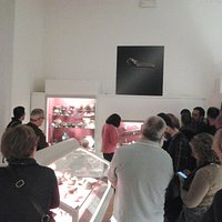 Visita guidata con la direttrice del Museo