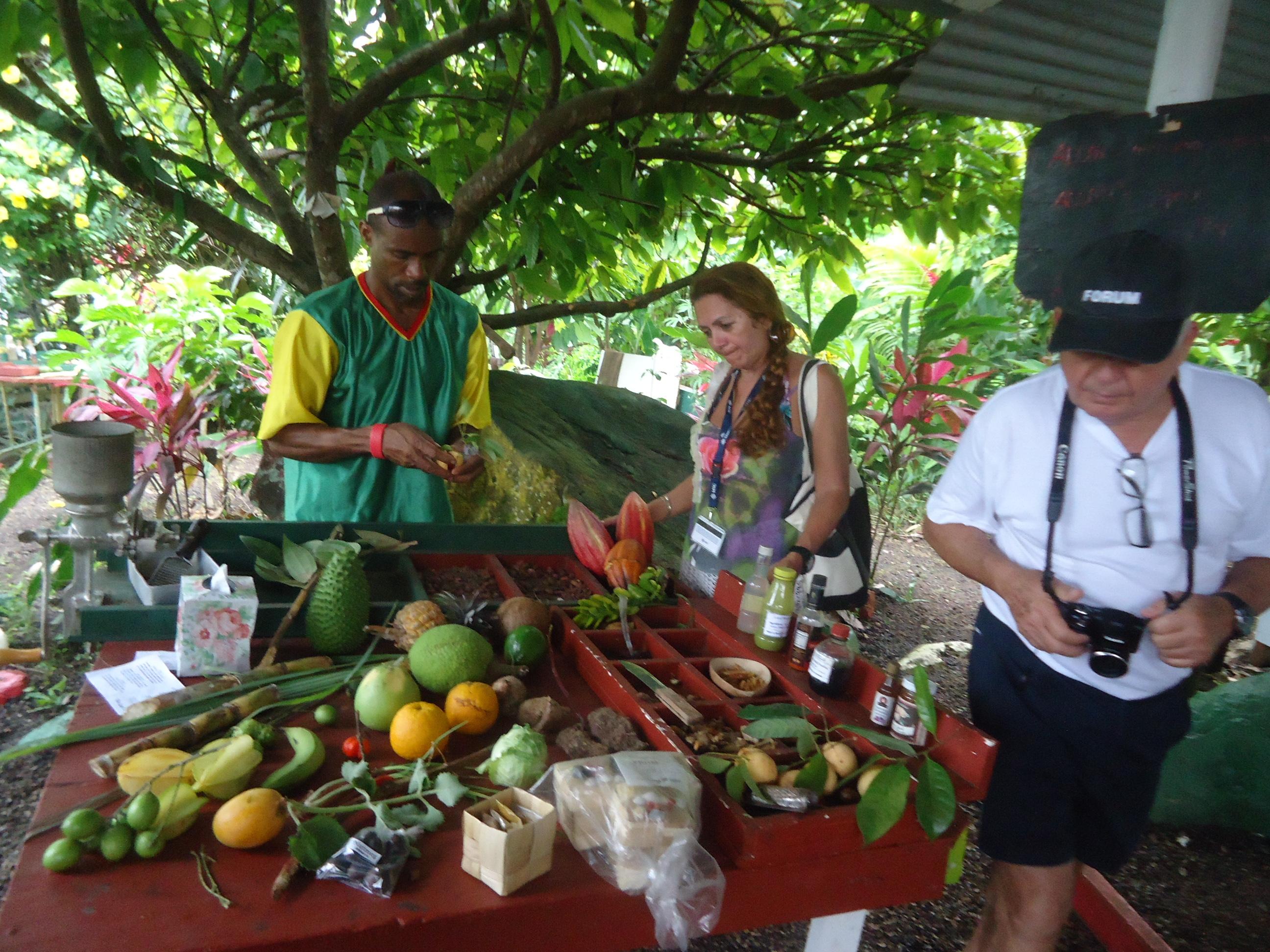 THE 15 BEST Things To Do In Grenada 2024 Must See Attractions   Grenada Compras 