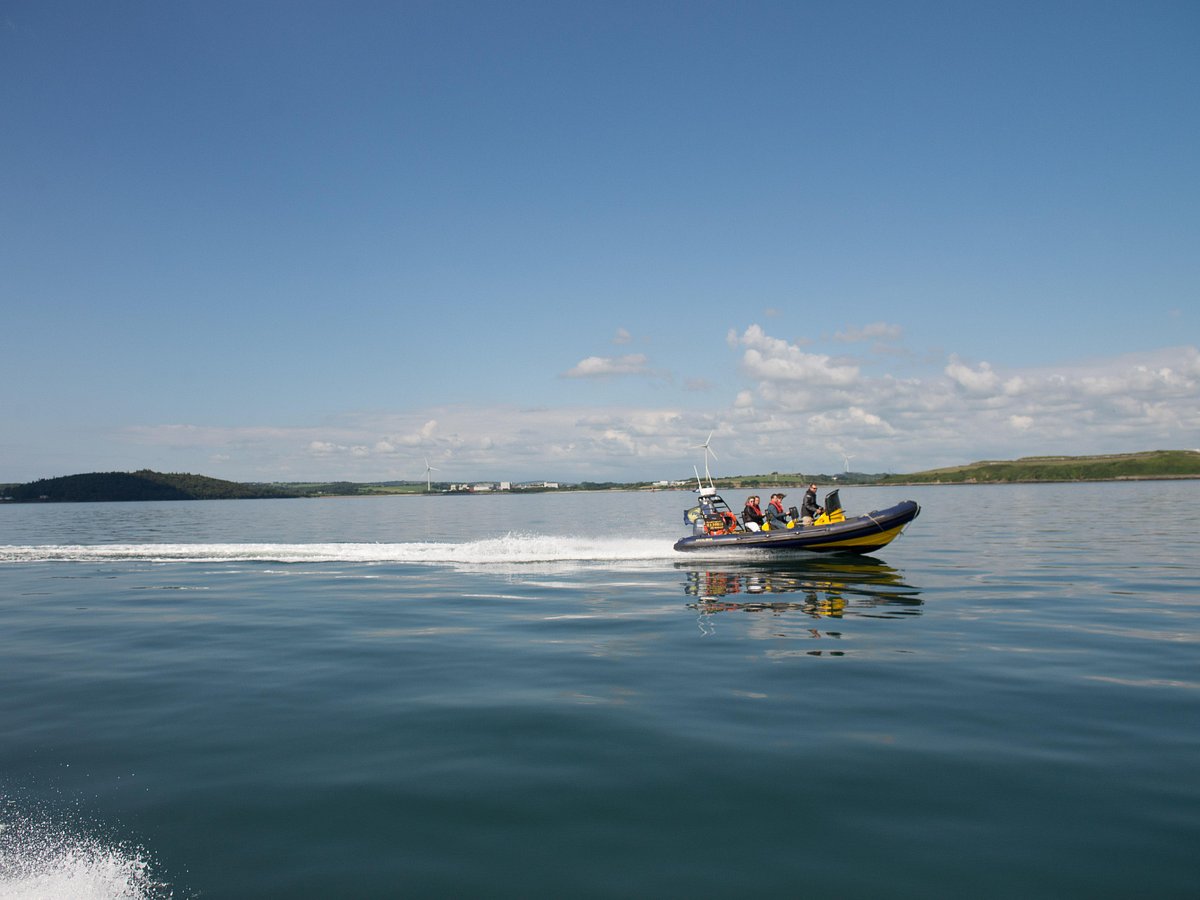 THE 10 BEST Cork Boat Rides & Cruises (Updated 2024) - Tripadvisor