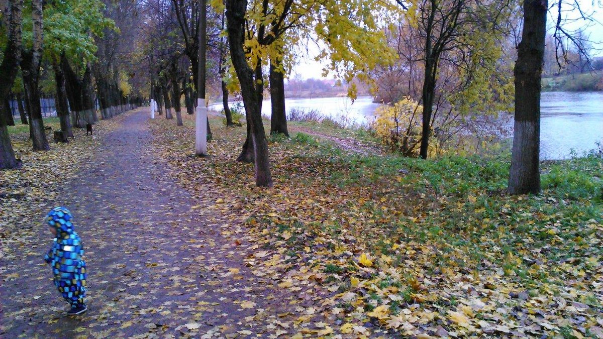 Щелковский городской парк культуры и отдыха, Щелково: лучшие советы перед  посещением - Tripadvisor