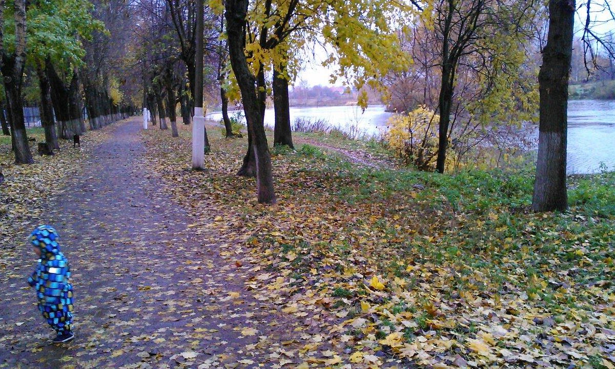 Щелковский городской. Щёлковский городской парк культуры. Щелковский парк в Щелково. Щелково городской парк 2022. Щелковский городской парк культуры и отдыха, Щёлково.