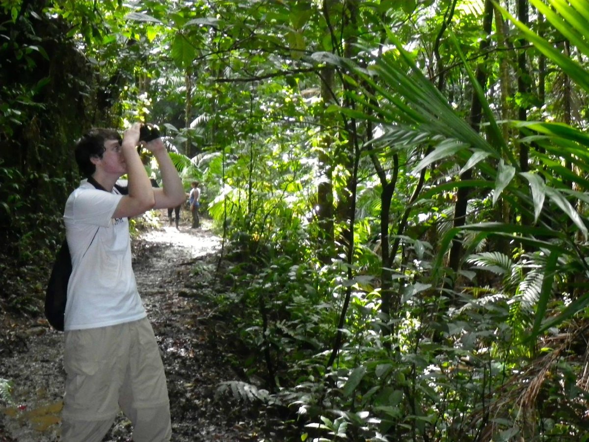 Unique Tours Tobago -Tours - All You Need to Know BEFORE You Go (2024)