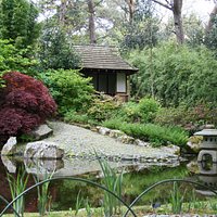 Japanese Garden