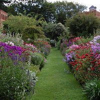Borders in summer.