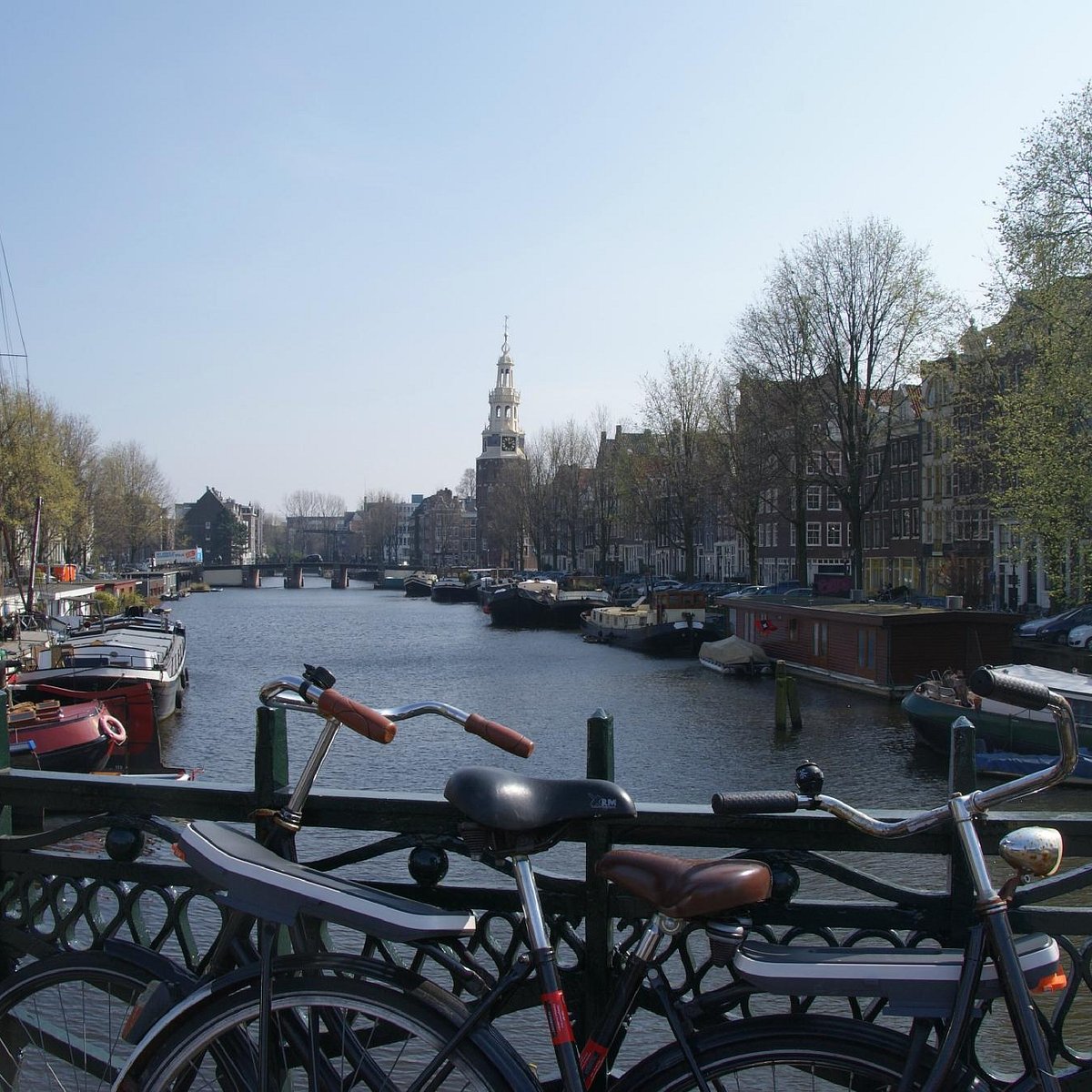 amsterdam vip tours