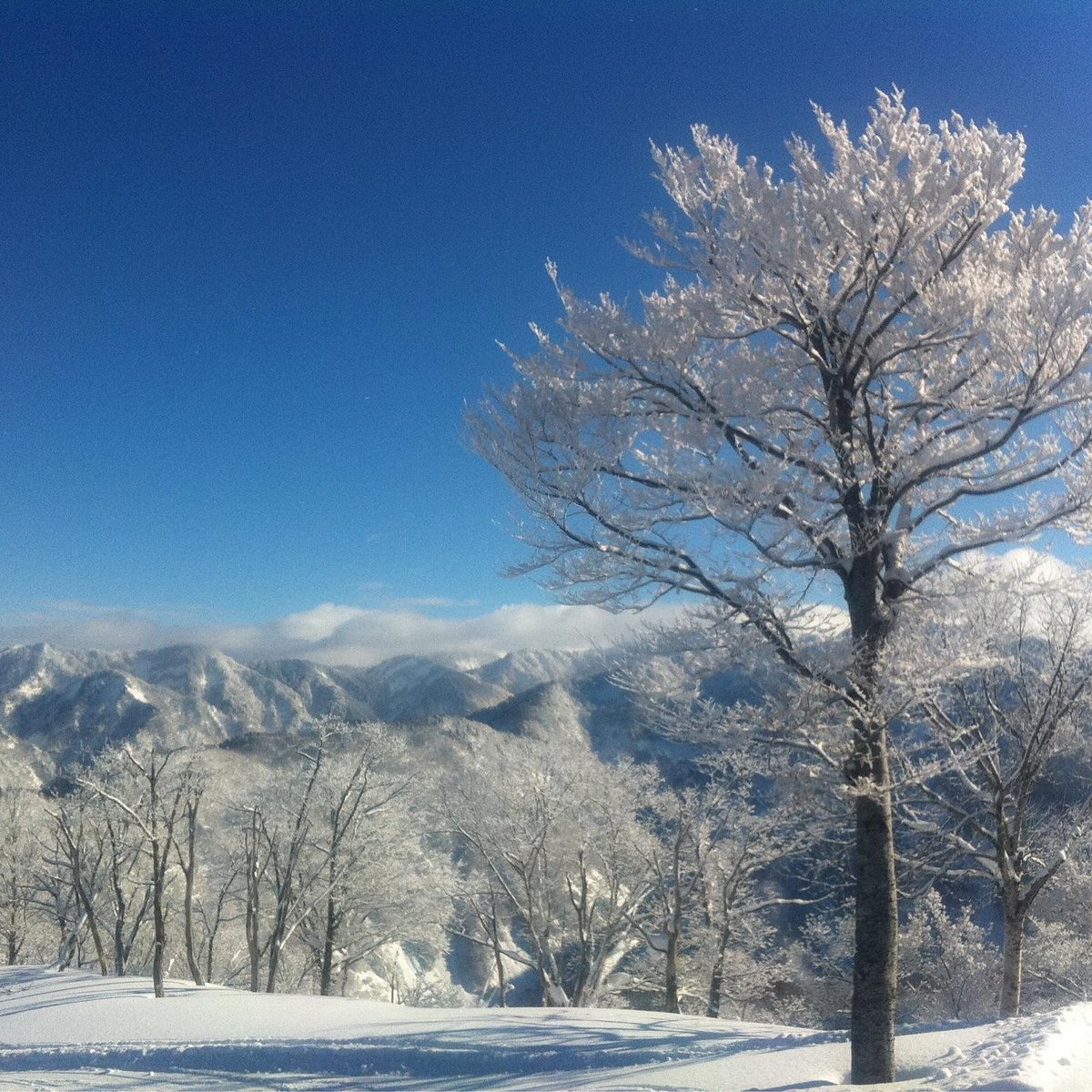 Hakusan Seymour Ski Resort - All You Need to Know BEFORE You Go