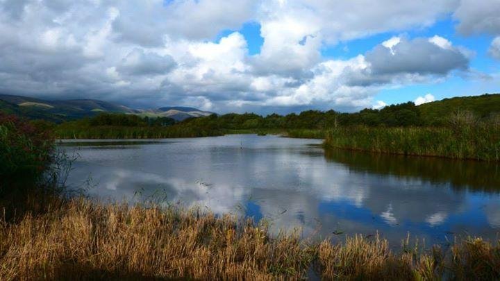 The Lakes