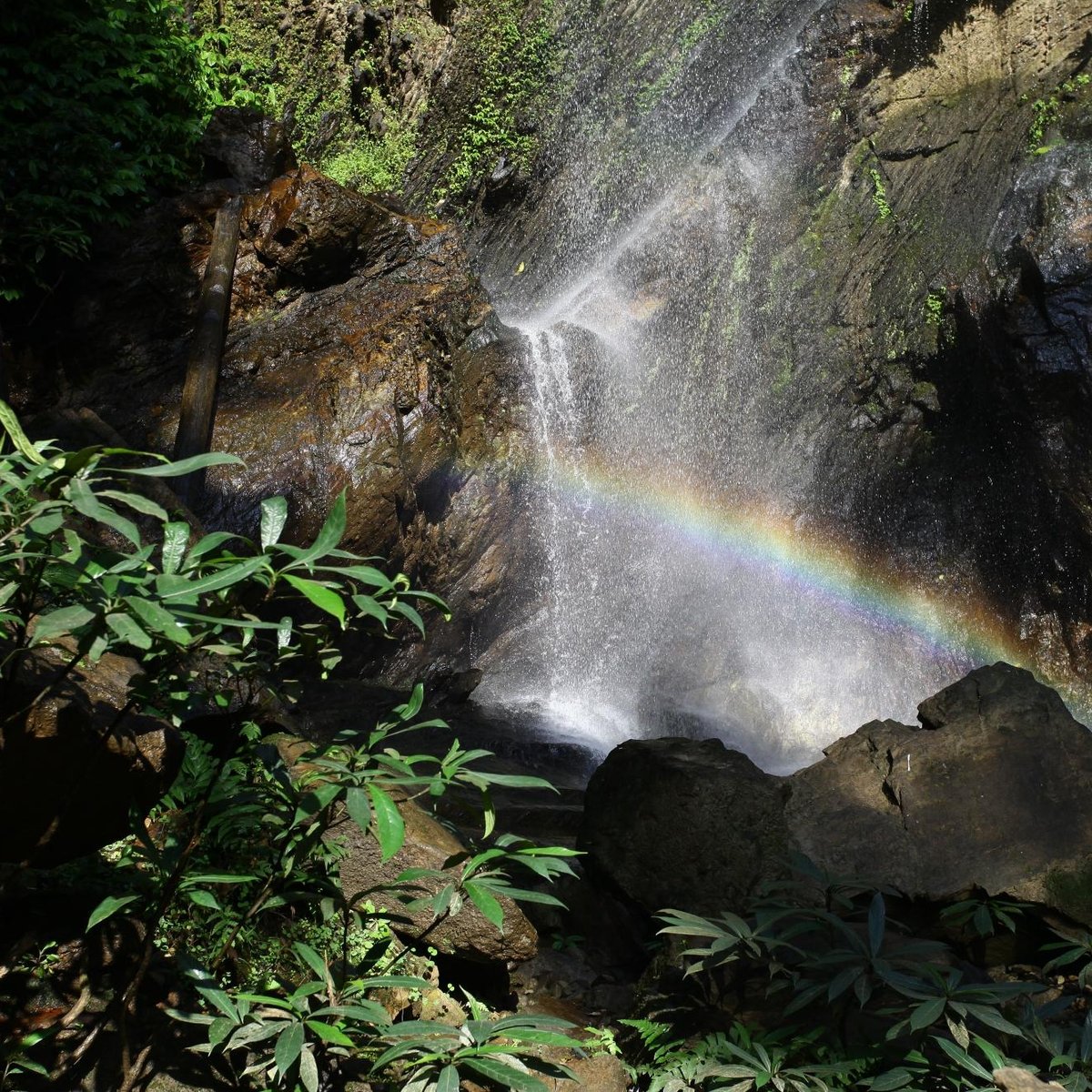 Mok Fa Waterfall, Чиангмай: лучшие советы перед посещением - Tripadvisor