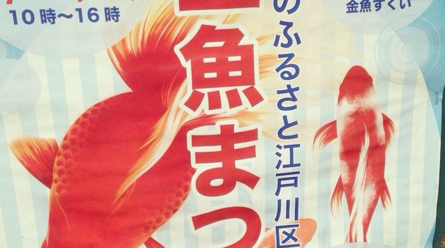 ポスター