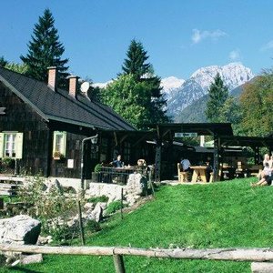 Guesthouse and Camping Kraljev hrib