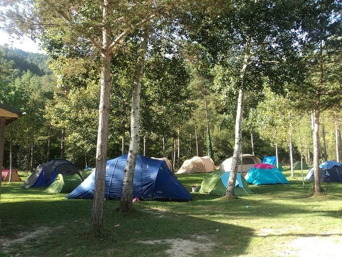 Imagen 8 de Camping Pirinenc