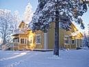 Pihlajapuu in winter