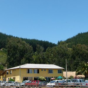 frontis