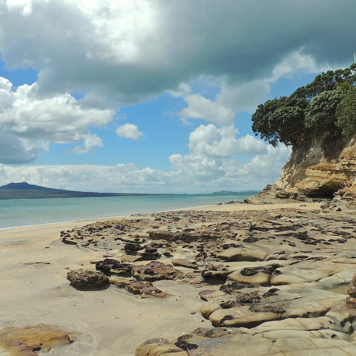 Takapuna Beach (Auckland Central): UPDATED 2021 All You Need to Know ...