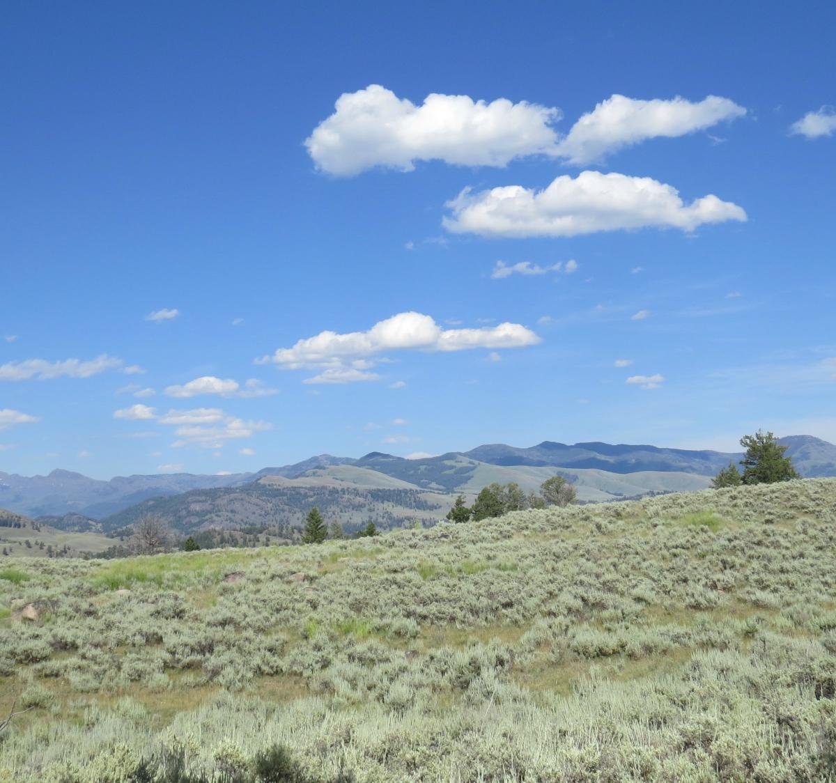 Yellowstone River Picnic Area - All You Need to Know BEFORE You Go (2024)