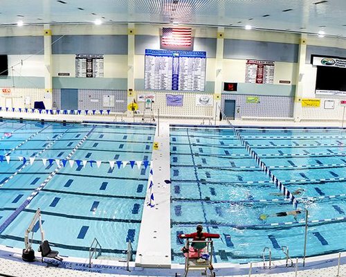 new holland community pool