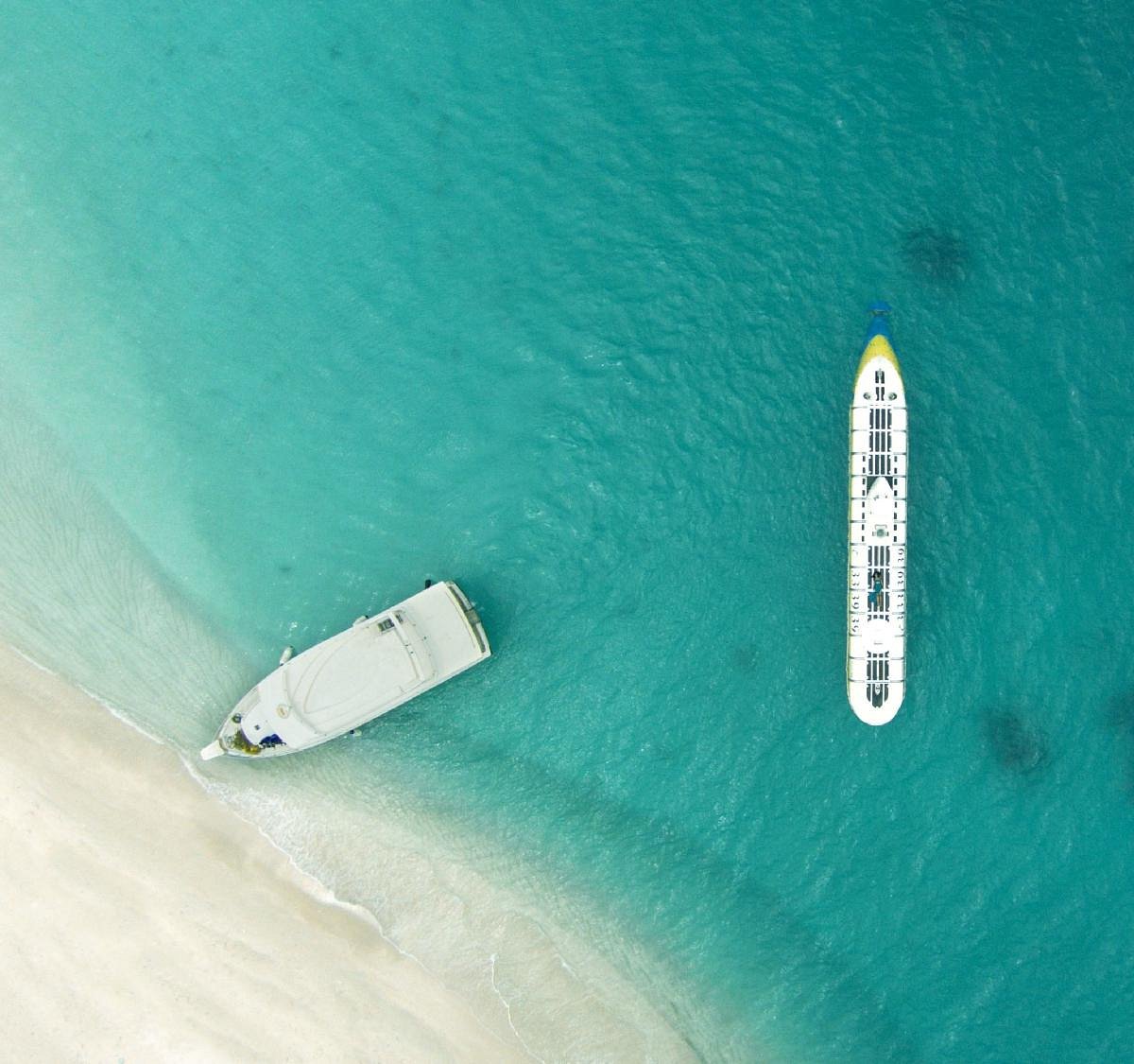 Whale Submarine Maldives, Мале: лучшие советы перед посещением - Tripadvisor